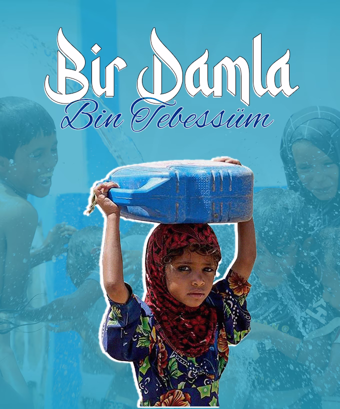 birdamla.avif